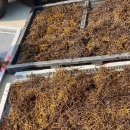 연화민박 이미지