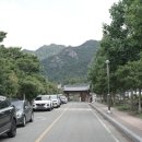 [전남 영암] 아이랑 영암곤충박물관 후기, 보고듣고만지고!