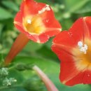 행복자원 이미지