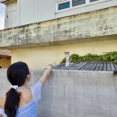 진도사랑민박 이미지