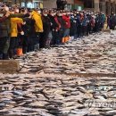 중도매인1호 이미지