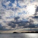 푸른나무한의원 이미지