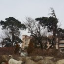 휴래안