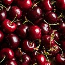 체리 이미지