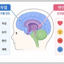 웃음운동 네이버블로그