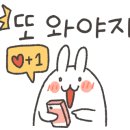 원더풀보쌈 이미지