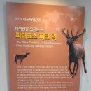 배 조형물 | 태백 기차 화통 축제 후기