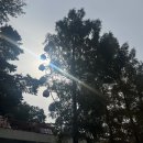 금오16길 | 1박2일 구미 가을 여행 싹싹 낋여왔읍니다.[금오랜드|구미 소품샵 거리|오마카세 스시본]