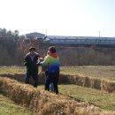 탑리농장 이미지