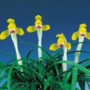 수천농장 이미지