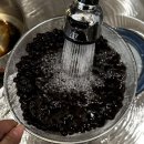 퍼피포피 이미지