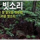 소리이비인후과의원 이미지