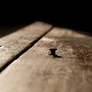 여기서뽑자 이미지