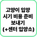 고양이입양소 | 고양이 입양 시기 비용 준비 보내기 (+사이트 센터 입양소)
