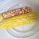 경동한과 | 쫀득쫀득한 옥수수, 경동시장에서 구입, 편리한 냉동...레인지에 데운 후기! 냉동보관 기간, 전자레인지...