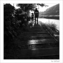 광도면사무소 이미지