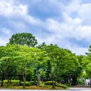 부천중앙공원 이미지