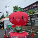 경기광주 : 2026 퇴촌 토마토 축제 후기, 토마토 가격 · 무료체험부스 총정리