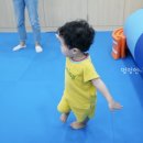 보한농장 이미지