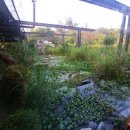 꼬꼬메이플가든 이미지