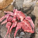 KM 복싱짐 | (분당정자동복싱)회원님들과 홍천 캠핑후기