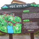 횡성온천 | # 어답산 산행후기_강원도 횡성군_2024.08.03