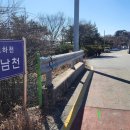 월남천 이미지