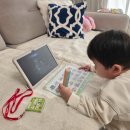 음악과 함께하는 책놀이 (A) | 잉글리시에그 효과 제대로 본 3세 영어발화 매일 루틴 (영상 포함)