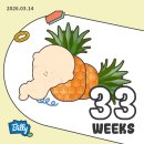 판교주유소 화장실 | 𝗕-𝟭𝟱 임신일기 | 33w-35w 증상, 분당제일조리원 2차산전마사지, 아기용품 (잼잼오프 슬립필터 설치...