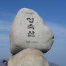 최영상회