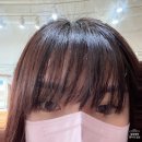 헤어벨(hair belle)