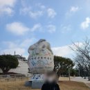 전남 해남 공룡박물관