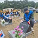 제주도청 이미지