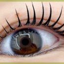 다인뷰티 이미지