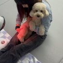 전주유치원 이미지