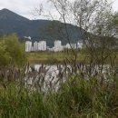 을숙도 생태공원 이미지