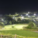 필드스크린 서울경제