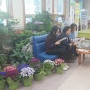 창원 상남동주민센터 경남연합일보