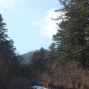 2월22일(목)가평 잣향기 푸른숲수목원 이미지