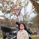 홍천강 자라바위 오토캠핑장 이미지