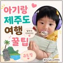 아기랑 제주도 여행 티켓팅 도어투도어서비스 수유 유아용품 정보