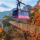 ⛰️ 제1,748차 46주년 기념산행 완주 대둔산(878m)단풍산행 예약방 이미지