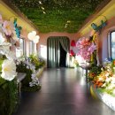 천전동9 이미지