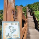 중문약천사 입구 도로변 | [꼬닥꼬닥 걷자] 제주 울레 8코스(약천사~주상절리~베릿내오름~논짓물)