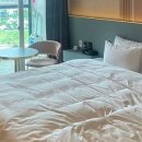 피치모텔 이미지