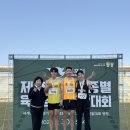 영동군청
