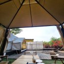 수목원할인마트 이미지