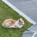 계절이 머무는 곳 이미지