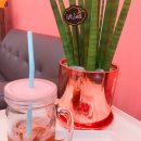 이나헤어 이미지