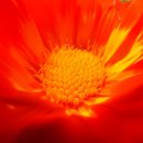 CU 연산월드점 | CPU 코어 수 선택 가이드 게임·작업별 추천